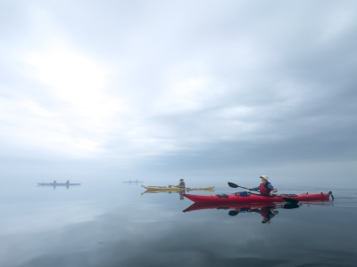 Nicolas Grandmangin – Kayak dans la brume