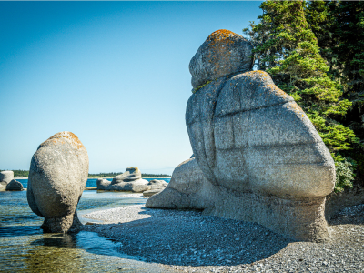 Nicolas Grandmangin – Monolithes du Zoo à la Grande Île