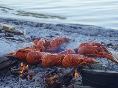 homards anticosti